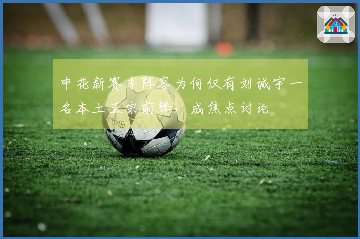 申花新赛季阵容为何仅有刘诚宇一名本土正宗前锋，成焦点讨论