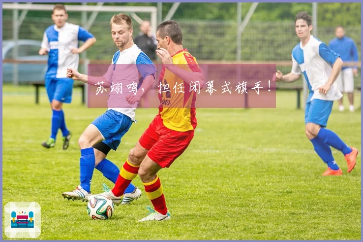 苏翊鸣，担任闭幕式旗手！