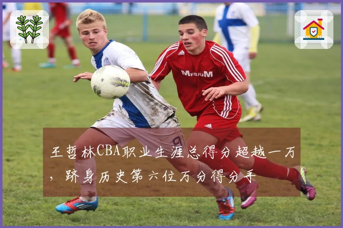 王哲林CBA职业生涯总得分超越一万，跻身历史第六位万分得分手